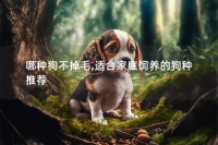 哪种狗不掉毛,适合家庭饲养的狗种推荐