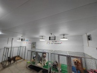 如何修建宠物寄养区（宠物养殖基地）