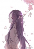 宠物美容SPA全攻略：如何为爱宠选择最佳服务