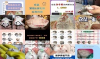 仓鼠怀孕后还会翘屁股吗