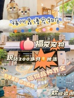 福州买金毛犬哪里比较实惠？福州这里买金毛犬基地直销更实惠