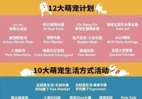 如何制定有效的营销策略来提升宠物网站的流量和销量？