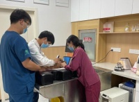 31岁女子捡到蛇当爬宠养10年，宠物医生检查后头皮发麻：这不是蛇
