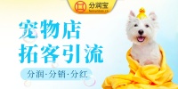 宠物店营销方案，宠爱好礼洗护狂欢