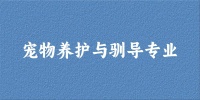 2024宠物养护与驯导专业福建录取分数线多少分 附专业就业方向 (2025参考)