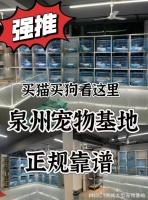 泉州最大的宠物市场在哪里?这里安全可靠能挑选心仪的宠物哦