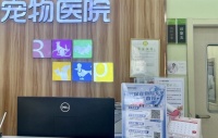 给宠物买医保真划算吗？消费者吐槽理赔陷阱多｜宠圈那些事
