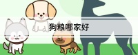 狗粮哪家好