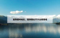 宠物猪叫啥名，宠物猪名字大全萌萌哒
