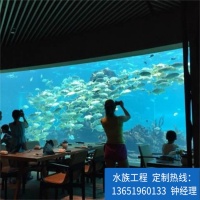 主题海洋馆设计 承接大型水族馆鱼缸亚克力海水鱼缸隧道施工工程