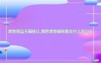 宠物用品天猫转让，想把宠物猫转售在什么平台上