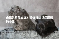 仓鼠的窝怎么做？教你打造舒适温馨的小家