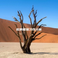 蛇的繁殖习性分析