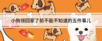 小狗领回家了前不能不知道的五件事儿