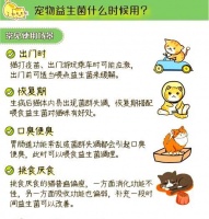狗益生菌如何帮助肠胃调理？换粮时应如何使用？