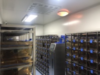 高校如何设计动物实验室场所