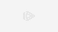 鹦鹉学舌的奥秘：它们是如何模仿人类语言的？