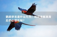 鹦鹉学舌是什么行为，如何理解其背后的心理机制？
