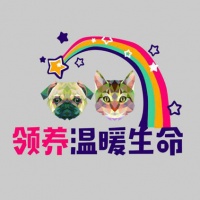 请问领养狗狗需要什么条件?