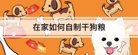 在家如何自制干狗粮