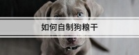 如何自制狗粮干