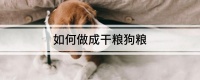 如何做成干粮狗粮