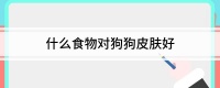 什么食物对狗狗皮肤好