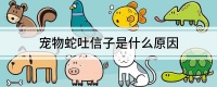 宠物蛇吐信子是什么原因