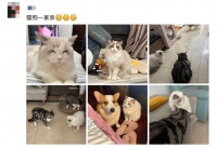 下一个迈瑞医疗？瑞普生物，宠物医疗行业的潜在龙头，足够便宜了