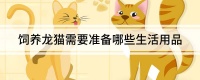 饲养龙猫需要准备哪些生活用品