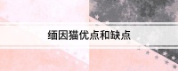 缅因猫优点和缺点