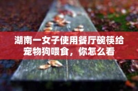 湖南一女子使用餐厅碗筷给宠物狗喂食，你怎么看