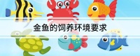 金鱼的饲养环境要求