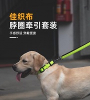 如何引导宠物狗走路——牵引绳的使用技巧（如何训练宠物狗走路）