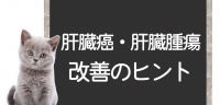 猫的肝癌和肝肿瘤 – 原因、症状、检查、手术、治疗方法及改善提示＜Cordy Research Laboratory＞