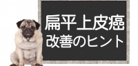 犬鳞状细胞癌 —— 原因、病症、手术、治疗、改善和治愈的提示＜Cordy Research Laboratory＞