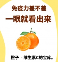 如何提高小狗的免疫力（小狗增强免疫力的关键）