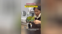90后夫妻喜欢小动物，23年到现在养鹦鹉已经30多只