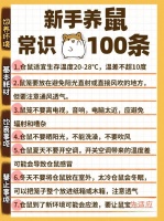 仓鼠饲养经验,仓鼠饲养经验分享