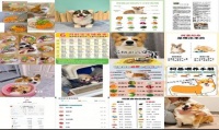 5个月柯基吃幼犬狗粮还是成犬狗粮