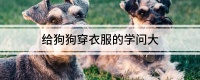 给狗狗穿衣服的学问大