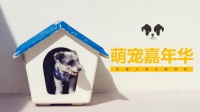 趣味萌宠嘉年华活动策划方案PPT下载