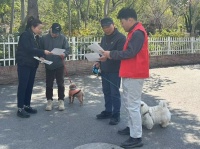 松江区加强城市精细化管理，共筑城市文明养宠新风尚—创建动态—文明上海