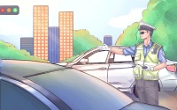 如何训练幼龟跟随自己