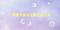 相思鸟蛋怎么孵化成小鸟，相思鸟蛋怎么孵化的