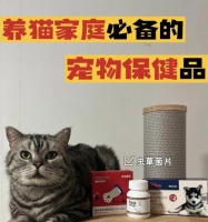 猫咪营养品全解析（从健康饮食到全面营养）