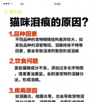 泪痕重是因为猫粮吃多了吗?还有哪些可能的原因?