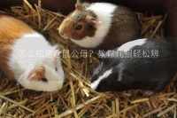 怎么知道仓鼠公母?教你几招轻松辨别方法