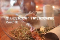 怎么让仓鼠发情?了解仓鼠发情的技巧与方法