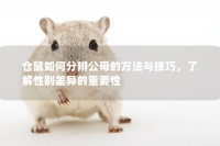 仓鼠如何分辨公母的方法与技巧,了解性别差异的重要性
